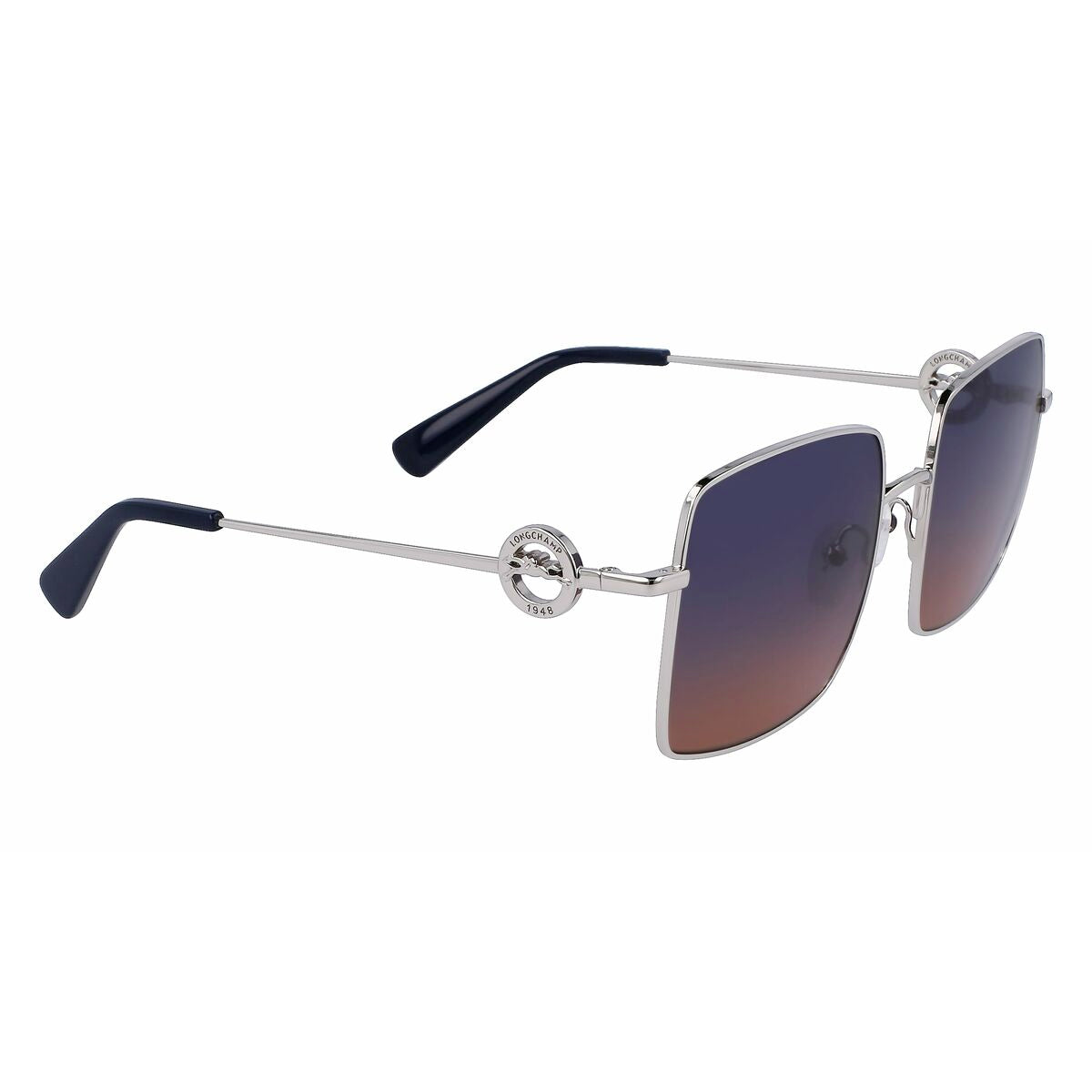 Ladies' Sunglasses Longchamp LO162S-719 Ø 55 mm