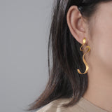 Ember Elegance Long Dangle Earrings