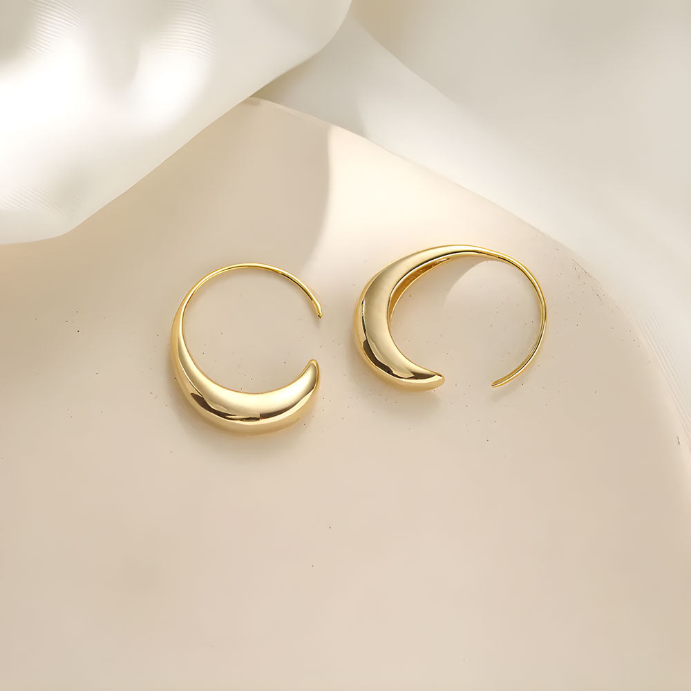 Modern French Elegance Earrings