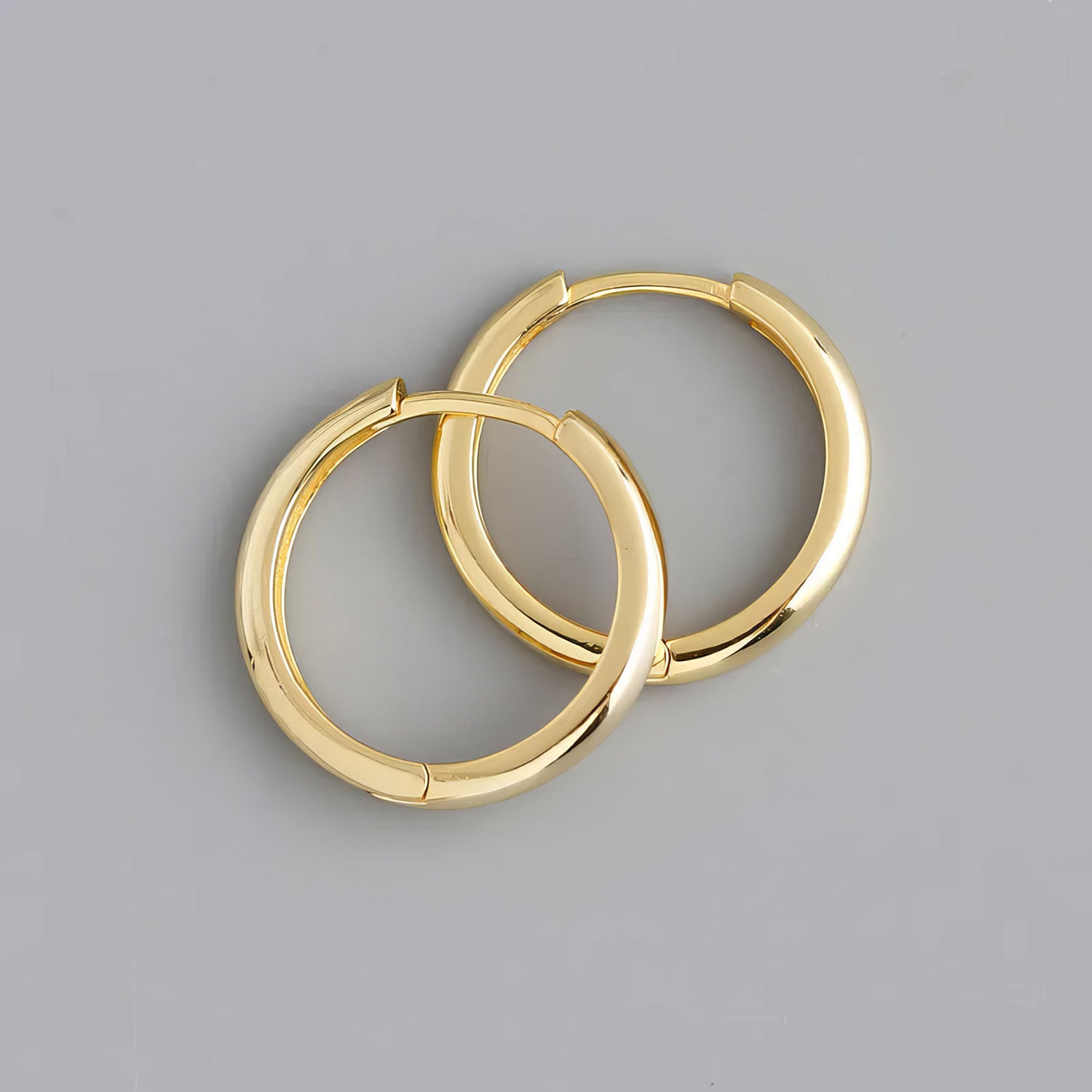 Sleek Circular Earrings