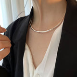 Sleek Silver Clavicle Necklace